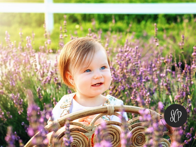 Understanding Depth of Field and Aperture in&nbsp;Photography